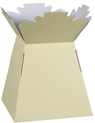 Inerra Florist Boxes Living Vases for Flowers and Bouquet Box Making - Pack of 5 (Cream)