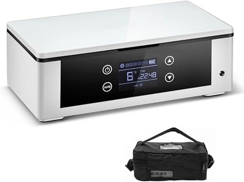 Usb Auto Medicina Frigorifero Mini Dispositivo Di Raffreddamento Per Insulina Veicolo Scatola Di Raffreddamento Del Farmaco Per I Viaggi 2-8 ℃ Frigo Medico AllAperto Custodia Fresca Per Organizzatore