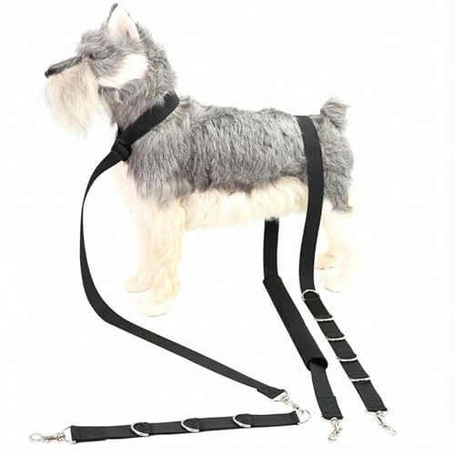 JOLLYTOP Verstellbare Hundepflege-Schlaufe 3er Set – Nylon Leine mit | D-Ring, Bauchgurt für Grooming-Tisch & Badewanne – Sicherheitsgeschirr & Haltehilfe für Hunde und Katzen – schwarz