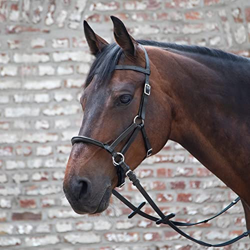 LINDA TELLINGTON JONES Lindel Warmblut, schwarz