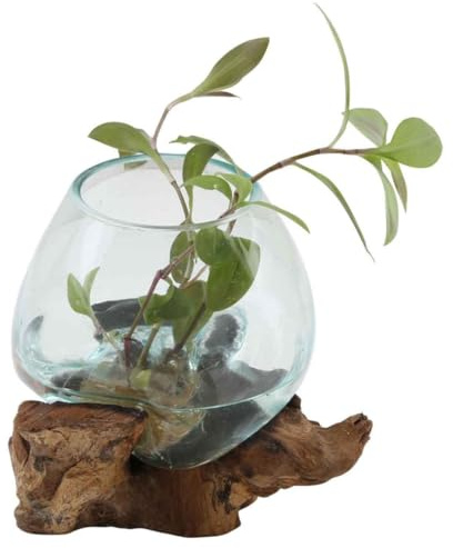 Glasvase auf Wurzelholz Ø 15cm x Höhe 20cm aus Recycling Glas & Teak Wurzel Holz handgefertigt extravagante Wohndeko Deko-Vase Glasschale Natur-Vase Weihnachten A15