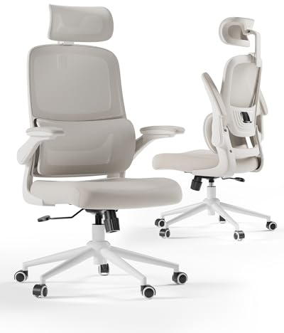 Hbada P1 Bürostuhl Ergonomischer, Schreibtischstuhl mit Verstellbarer Lendenstütze, Schreibtischstuhl für das Home Office mit 2D Kopfstütze, klappbaren Armlehnen, drehbarer Computerstuhl, grau