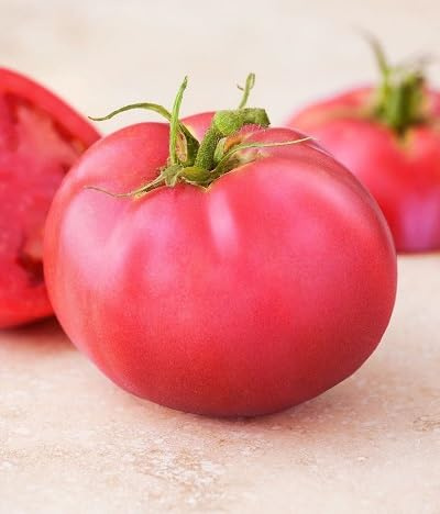 Tomato Vegetables Seeds Pink 100Pcs
