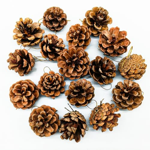 36 Stück Tannenzapfen,4cm,Kiefernzapfen,Tannenzapfen Zum Basteln,Zapfen Deko,Weihnachten Tannenzapfen,Pinienzapfen Perfekt Für Weihnachtsbaum Deko,Adventskranz,Christmas Decorations(Natürliche)
