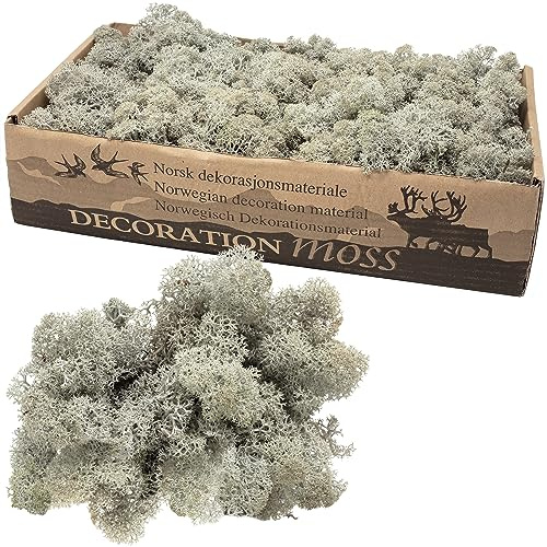 Karton Islandmoos Grau 500g