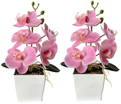 XIZHI Lot de 2 orchidées artificielles avec vase, 25,4 cm, bonsaï, fleurs papillon en soie avec pot pour mariage, bureau, décoration d'intérieur, centres de table (rose)