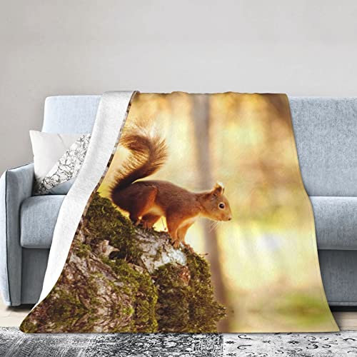 Lustige Eichhörnchen-Decke, gemütlich, dicke Flanelldecke, superweich, modisch, warm, Überwurf, Decke, dekorative Decke für Couch, Sofa, Bett, Überwurf