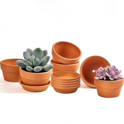 Lot de 6 petits pots de fleurs peu profonds en terre cuite pour plantes succulentes avec trou de drainage et soucoupe, 8,9 cm, pour cactus, plantes succulentes et autres plantes d'intérieur et