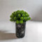 EASTANA Vase for Perfect Camera Disguise Versatile Camouflage Camera Disguise vase Hide Ring Camera Hidden Ring Camera Video Door Bell hiden Security Camera