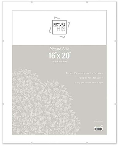 Styrene/Plastic Front Frameless Clip Photo Frame For Home, Office Classic Wall Mountable (16 x 20)