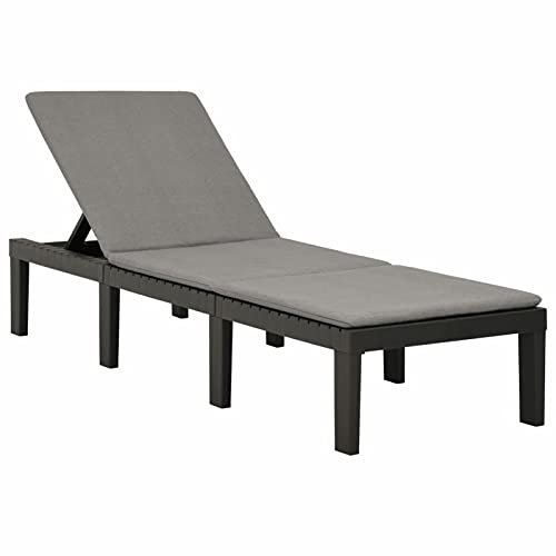 YUMENG Sonnenliege mit Auflage, Gartenliege, Liegestuhl, Sonnenstuhl, Sonneninsel Outdoor, Liegen, Gartenmöbel, Bäderliege, Relaxliege,Kunststoff Anthrazit