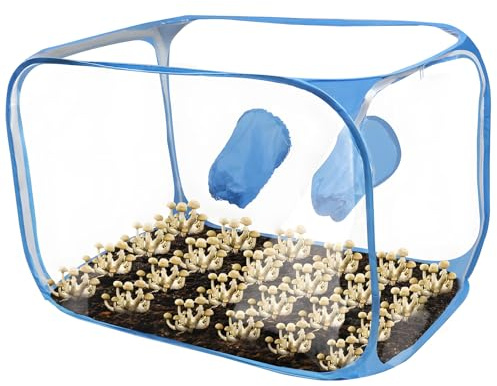 Navna Trasportabile Chiuso Biografia Camera Fungo Coltivazione Container Piano di collasso Ambiente Compatibile Laboratorio Costruzione Permanente Chiuso Biografia Sicurezza