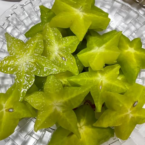 carambola semi da giardino nano colonnario balcone resistente letto elevato per balcone biologico 150pcs