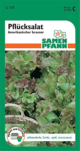 Samen Pfann G778 Pflücksalat Amerikanischer brauner (Pflücksalatsamen)