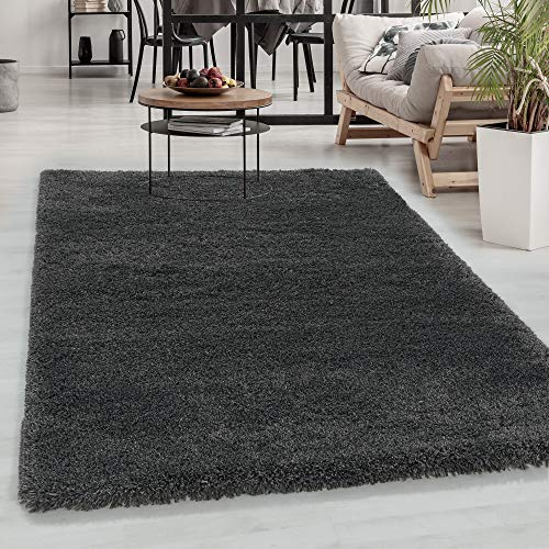 Carpetsale24 Shaggy Hochflor Teppich Grau 120x170 cm Extra Weich & Waschbar - Jute Rückseite für Fußbodenheizung, Einfarbig & Flauschig für Wohnzimmer & Schlafzimmer