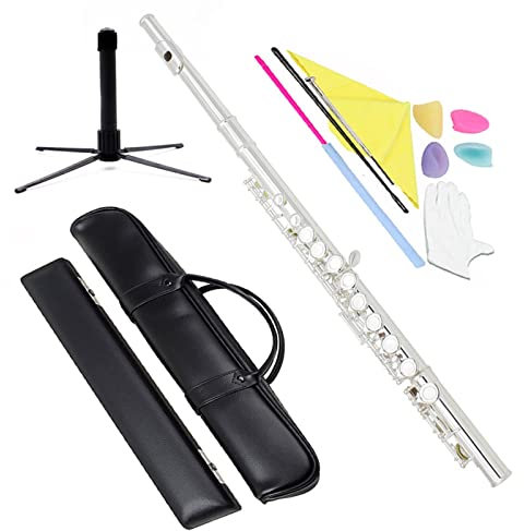 TSTS 16-Loch-C-Key-Flöteninstrument Mit Koffer, Rucksack, Reinigungsstäbchen, Wischhandschuhen, Flötenzubehör Einsteiger Querflöten (Color : 04)