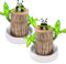 2pcs Madera de la Suerte Brasileña, Tronco de Brasil Planta Natural, con Figura, Planta de Madera de Brasil en Maceta de la Suerte, Brasileño de Madera, Bonsais Naturales Interior, Purificar el Aire