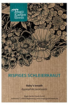 Rispiges Schleierkraut (Gypsophila paniculata) ca. 600 Samen Gipskraut