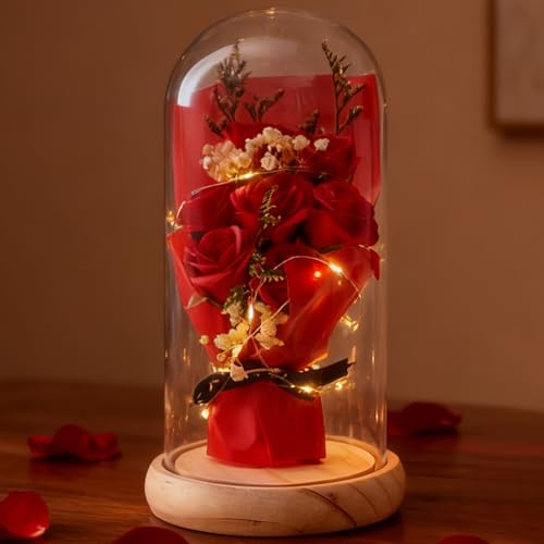 Aloskart Ewige Rose - Eine Konservierte Blume in Einer Glaskuppel mit LED-Licht, Infinity Rose für Geburtstagsgeschenk, Valentinstag, Muttertag (Tiefrot)
