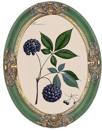 PARAFAYER Vintage Oval Picture Frame 5x7 Inch, High Definition Glass Front, Retro Home Decor Art Gallery (Green and Gold Oval 5x7)