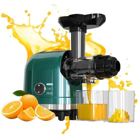 DINGK Juicer Machines, 250W Slow Masticating Juicer, 1.3L Cold Press Juicer Extractor with Quiet Motor and Reverse Function, Easy to Clean, Two Cups and Brush, for Fruits and Vegetables, Dark Green