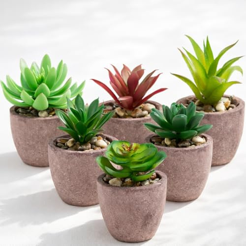 PASCH® Uppsättning med 6 konstgjorda suckulenter som riktiga i naturfiberkrukor: suckulenter konstgjorda växter | växtdekoration vardagsrum | badrumsdekoration växter konstgjorda | konstgjord växt