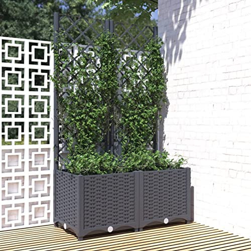 Festnight Arriate Enrejado de Plastico Macetero de Jardín Enrejado Jardinera con Enrejado Planta Flores Maceta para Exterior Terraza Balcón PP, Gris Oscuro 80x40x136 cm
