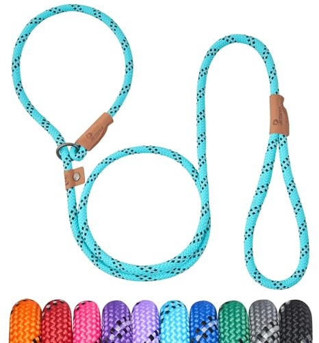 Petarea 5 FT Slip Lead Dog Leash, Heavy Duty Rope Leash for Small Medium Large Dogs, No Pull Training Lead with Reflective Thread, Strong Comfortable Loop Leash (Teal Stripe, Medium(3/8))