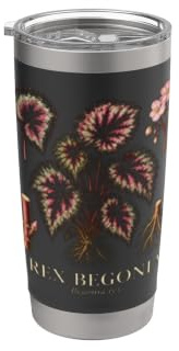 Rex Begonia Begonia Rex Colorful Houseplant Plant Study Stainless Steel Insulated Tumbler