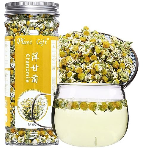 Plant Gift 100% Pure Chamomile Tea, 洋甘菊 Crea borse da tè acne, foglia large per tè in camomilla, estratto di camomilla oli essenziali, medicinali tradizionali camomilla organica 30G