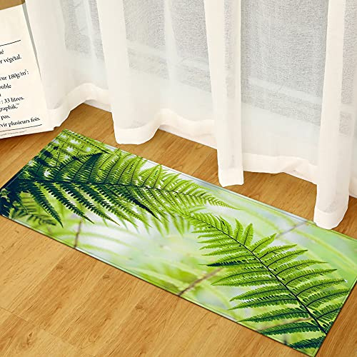 Morbuy Personalisierte Fußmatte Rutschfester Türvorleger mit 3D Pflanzendruck, Schmutzfangmatte Waschbar Fussmatte Innen Badteppiche (60x90cm,Grüner Farn)