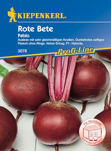 Kiepenkerl Profi-Line Rote Betesamen Pablo, F1 - Hochwertige Gemüsesamen für saftige dunkelrote Knollen, Ideale Rübensamen ohne Ringe für Garten & Beet, Gemüseanbau
