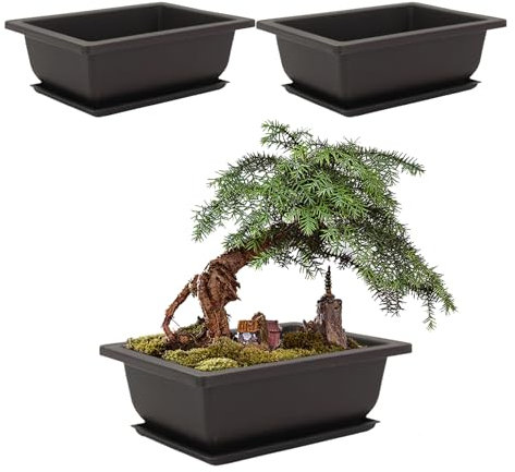 M&Catree Bonsai Schale mit Untersetzer – 3 Stück Bonsai Trainingstöpfe aus Kunststoff, rechteckige Pflanztöpfe für Garten & Zimmerpflanzen - Schwarz 3pcs, 16cm