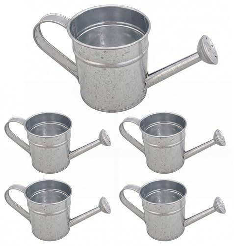5 Pack Mini Watering Can Small Metal Watering Can for Indoor Plants Galvanized Iron Waterer Pot for Kids Gardening Succulents Bonsai Silver