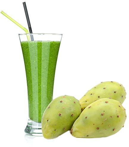 Kaktus Geschmack Milchshake Pulver Gino Gelati zum Milchshakes selber machen (333 g)