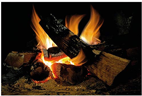 Wall stickers Fireplace With Burning Log Fire Holiday Wall Decal Decoration Firewoods Flames Photorealistic Art Poster (Large Log Fire)