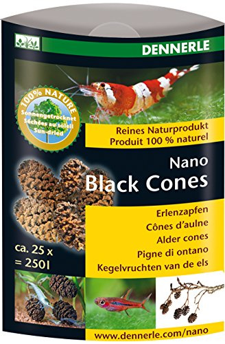 Dennerle Nano Black Cones ca. 25 Stück