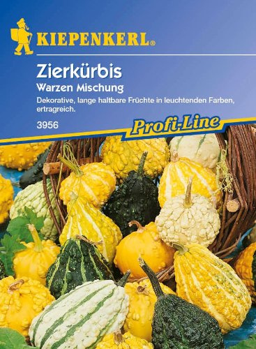 Zierkürbis, 'Warzenmischung'