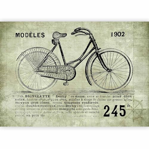 Fotomurales B&D XXL - 400x280 cm XXL Papel pintado tejido no tejido Decoración de Pared decorativos Murales moderna Diseno Fotográfico bicicleta i-B-0004-a-d
