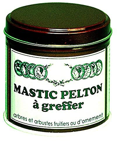 PELTON Mastic à Greffer 200 gr, Green
