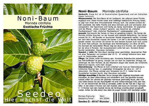 Seedeo® Noni-Baum (Morinda citrifolia) 10 Samen