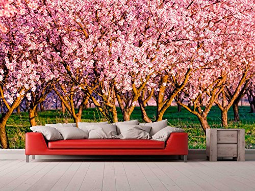 Papel Pintado Para Pared Almendros en Flor | Fotomural para paredes | Mural | Papel Pintado | Varias Medidas 350 x 250 cm | Decoración comedores, salones, habitaciones...