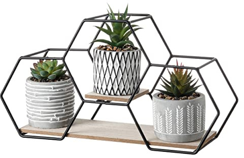 TERESA'S COLLECTIONS Planta Artificial con Maceta, Juego de 3 Plantas Suculentas Artificiales como Decoración para el hHogar y la Oficina, Macetas para Flores, Regalos