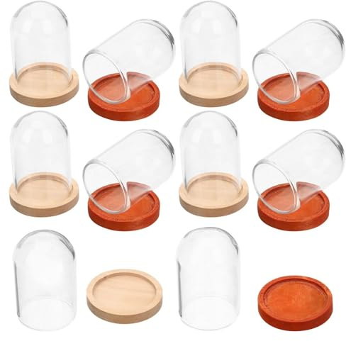 NUOBESTY 10 Pezzi Mini Campana di Vetro Trasparente con Base in Legno Naturale e Caffè, Campana Espositiva per Fiori Stabilizzati e Decorazioni la Casa, Teca Decorativa per Piante