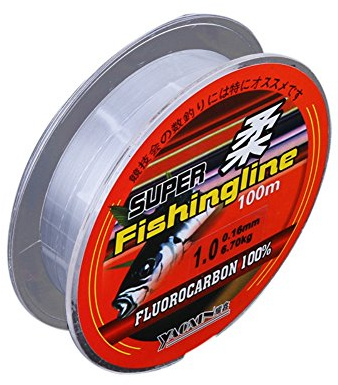 Doubleer 100 mètres Fluorcarbone de Ligne de pêche en Nylon # 0.4- # 8.0