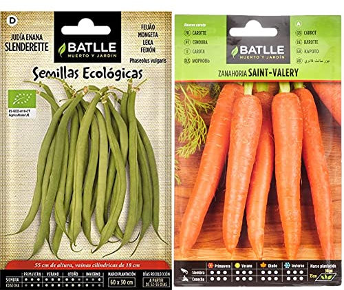 Judia Slenderette - ECO & Zanahoria SAINT VALERY