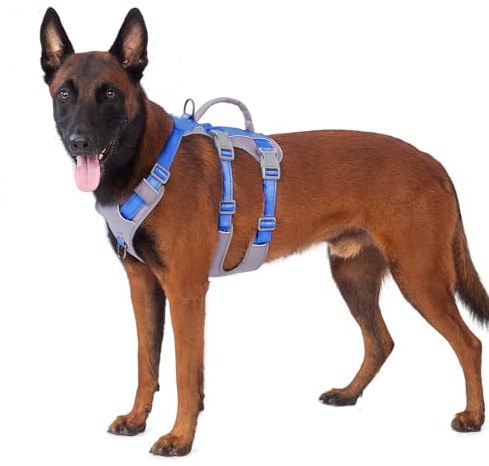 Huntboo Utrymningssäker Hundsele Medium, Anti-Trek Hundsele med Handtag, Andningsbar, Justerbar, Reflekterande Hundselar, Lättviktig Hundsele för Små och Stora Hundar Utomhus (Havsblå,M)