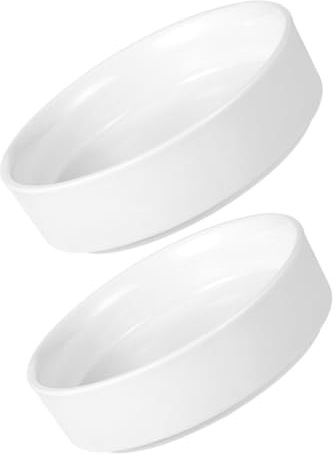 Housoutil Lot de 2 Soucoupes en Céramique pour Plantes d'Intérieur et d'Extérieur Plateaux de Drainage Robustes pour Pots de Fleurs Bacs à Arrosage Adaptés aux Pots en Terre Cuite et
