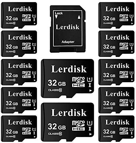 Lerdisk Confezione da 12 Schede Micro SD 32GB U3 V30 A1 Classe 10 | Video 4K per Droni, Dashcam & Dispositivi Android | Impermeabile IP65 (32GX12)