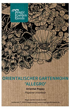 Pavot d'Orient 'Allegro' (Papaver orientale) env. 200 graines Plante vivace pour le jardin de campagne Plante mellifère